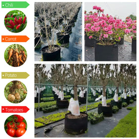 KuMers grow bag drainage design supports moisture management.