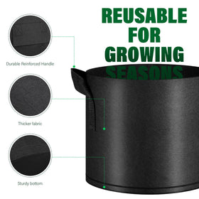 KuMers grow bag with wide handles for effortless movement.