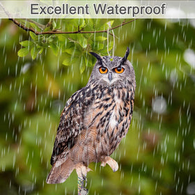 Kungfu Mall owl pack contents support quick outdoor setup.