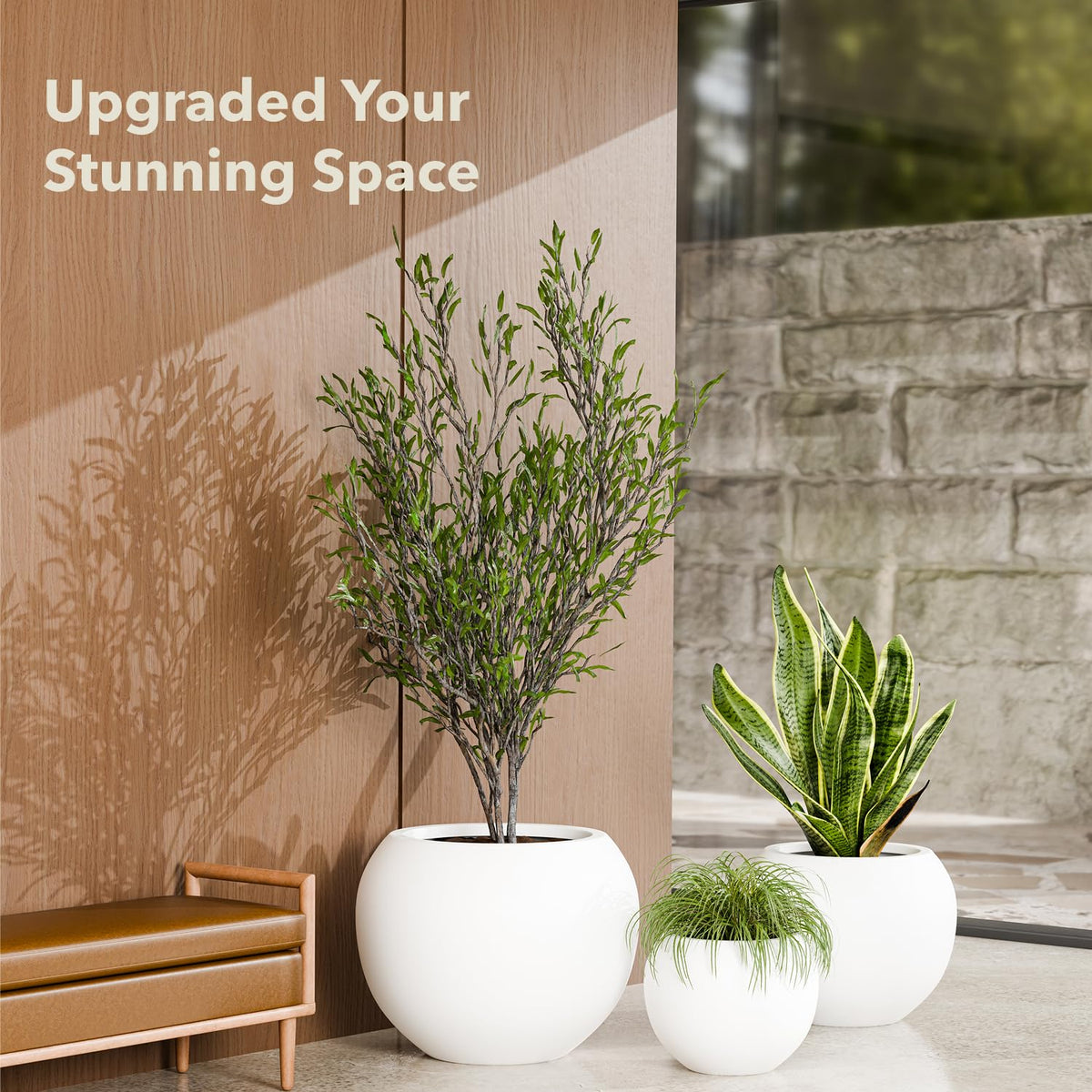 KUTE NEST Globo fiberstone round planter shown with olive tree for scale.