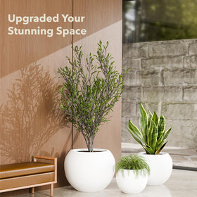 KUTE NEST Globo fiberstone round planter shown with olive tree for scale.