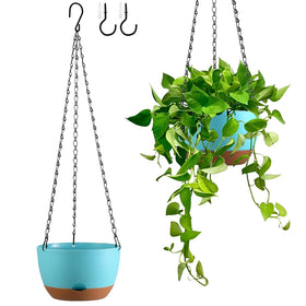 Kvetto 2-pack hanging planters in 8-inch size with color blocking for versatile indoor-outdoor use.