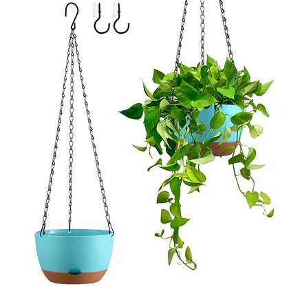 Kvetto 2-pack hanging planters in 8-inch size with color blocking for versatile indoor-outdoor use.