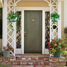 Kvetto planters suitable for ivy, spider plant, petunia, philodendron and succulents.