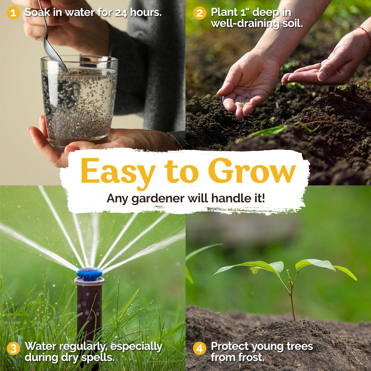 KVITER seeds bag texture highlights premium seed quality and preservation.