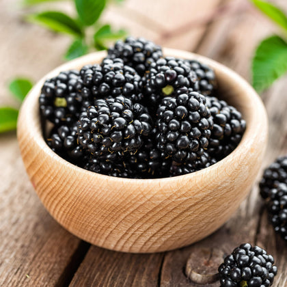 KVITER 50 Black Raspberry Seeds pack shot for home gardening enthusiasts.