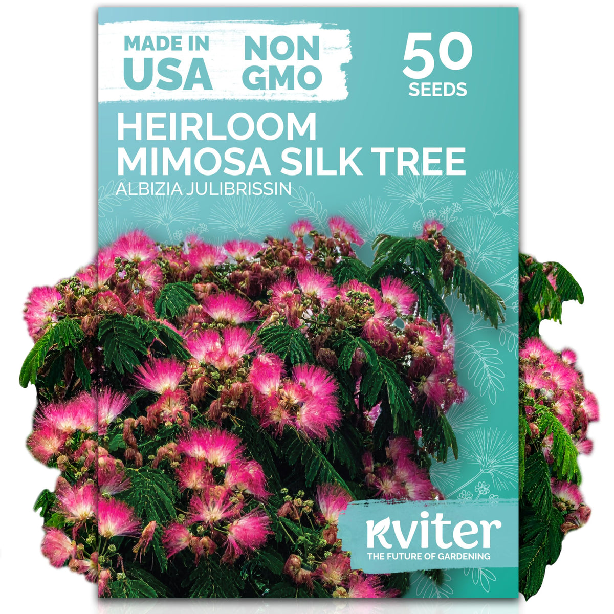 KVITER 50 Mimosa Silk Tree Seeds with pink blooms boosting garden color and pollinator appeal.