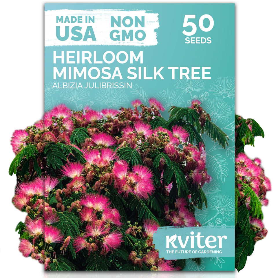 KVITER 50 Mimosa Silk Tree Seeds with pink blooms boosting garden color and pollinator appeal.