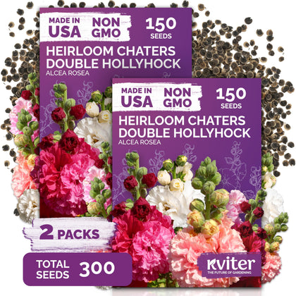 KVITER Chaters hollyhock seeds pack with double blooms brightening garden borders.