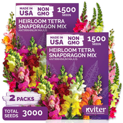 KVITER Snapdragon seeds tetra mix color range ready to bloom in the garden