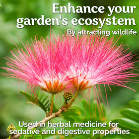 KVITER wildlife-friendly pink canopy supports pollinators and biodiversity.