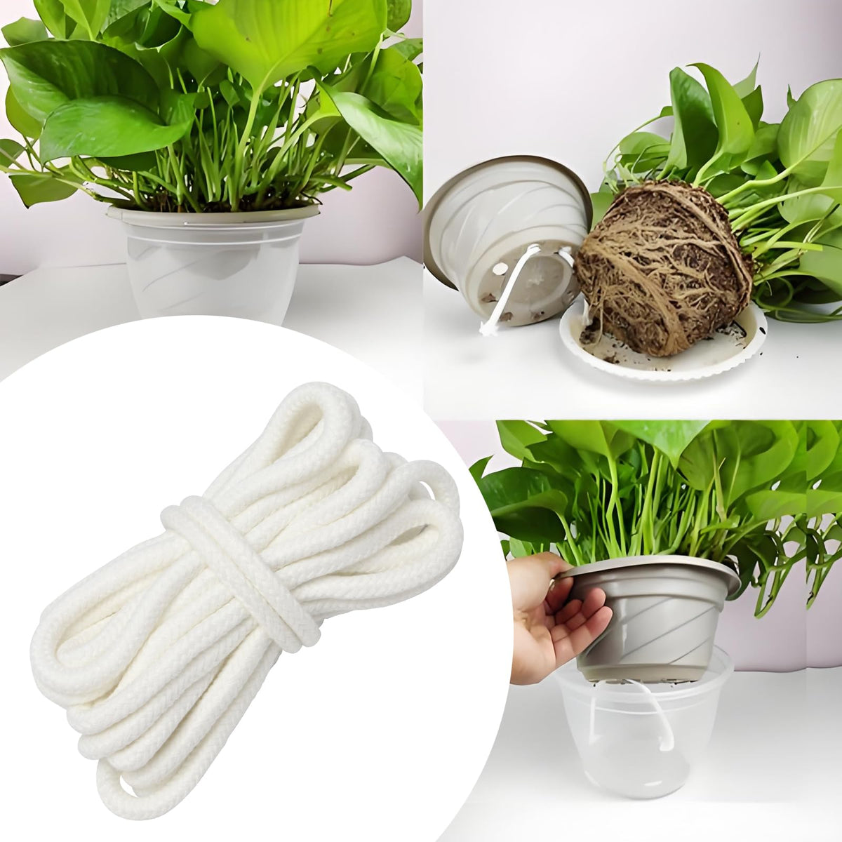 KVMORZE vacation plant care setup helps plants stay hydrated during trips