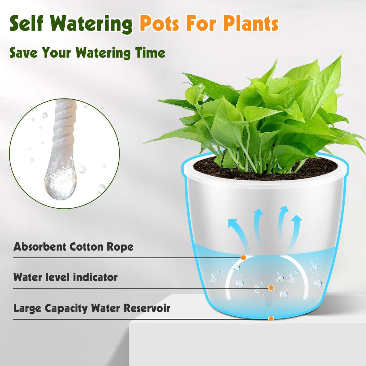 KvyusFlourish African violet pot supports violet hydration needs.