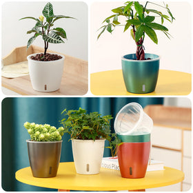 KvyusFlourish rose gold color pot brightens rooms while keeping plants hydrated.