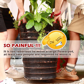 Heavy-duty rolling plant dolly supports up to 250 lbs for versatile indoor use.