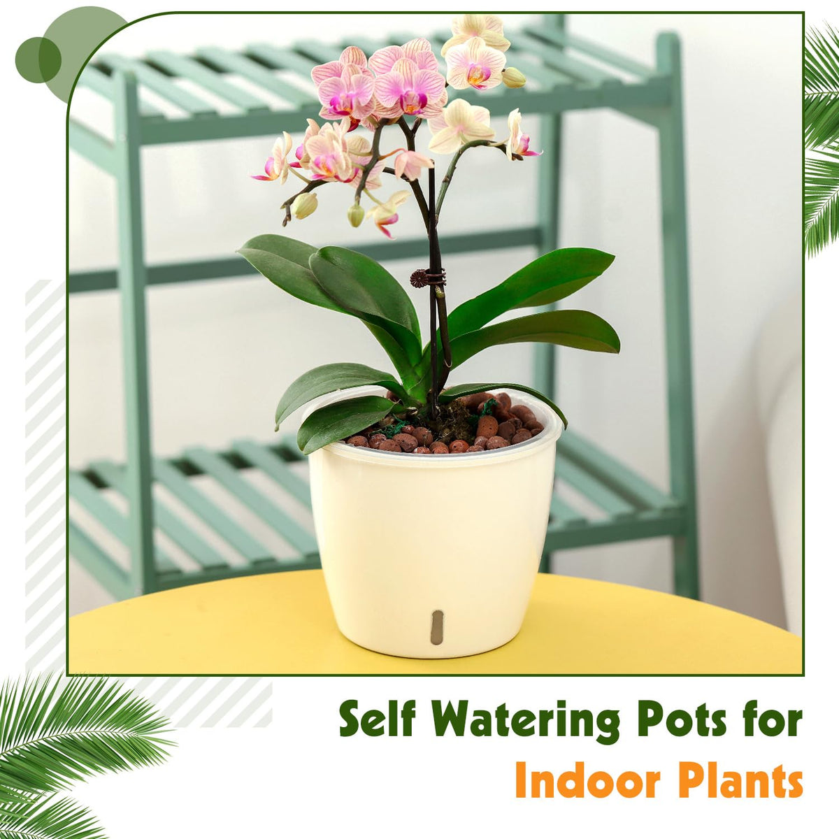 KvyusFlourish orchid-friendly design promotes healthy blooms.