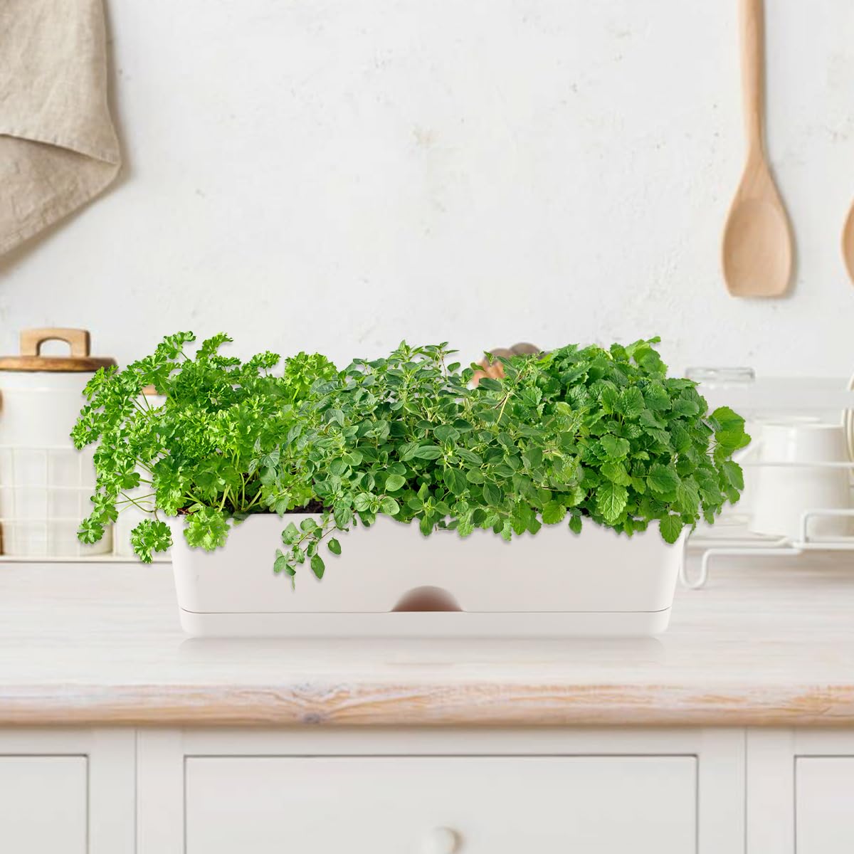 KvyusFlourish planters with drainage holes and saucers prevent overwatering and mess.
