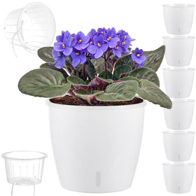 KvyusFlourish self-watering pots in a 6-pack for easy indoor plant care.