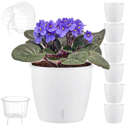 KvyusFlourish self-watering pots in a 6-pack for easy indoor plant care.