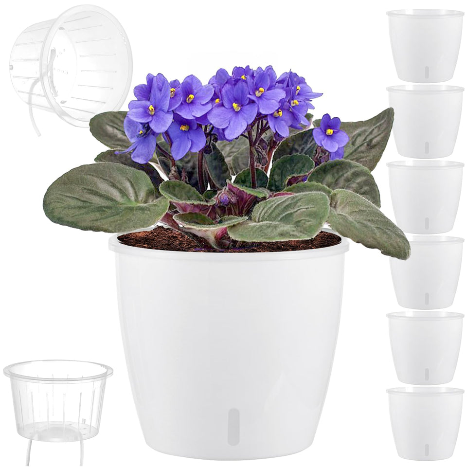 KvyusFlourish self-watering pots in a 6-pack for easy indoor plant care.