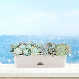 KvyusFlourish window boxes shown on balcony railing for compact gardening.