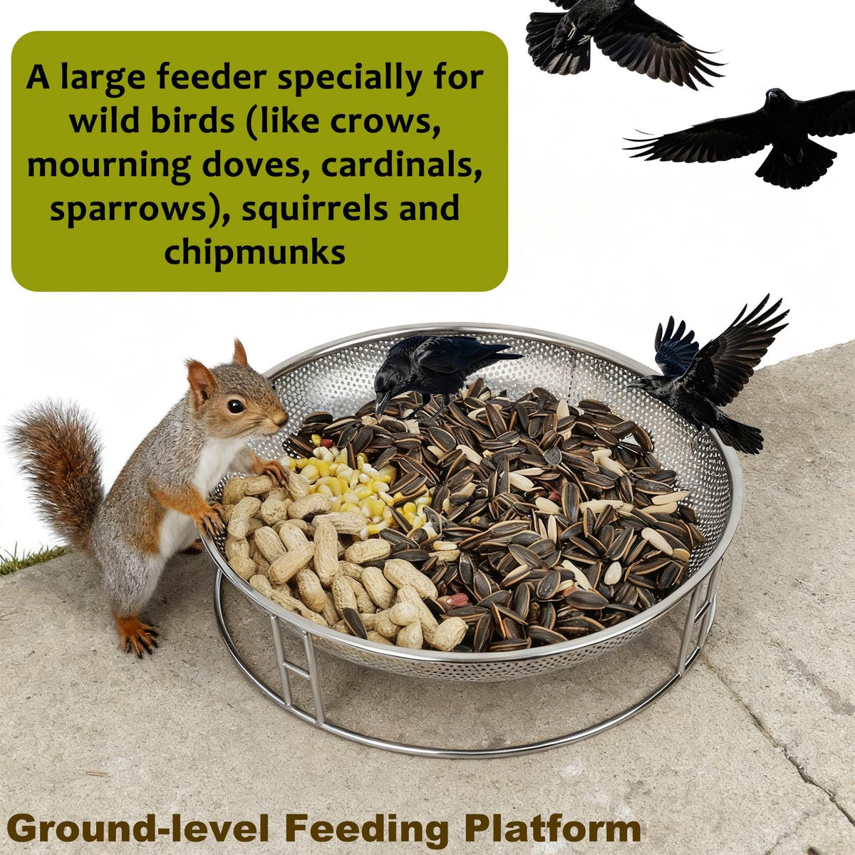 Kweespr dual seed trays expand capacity for backyard visitors