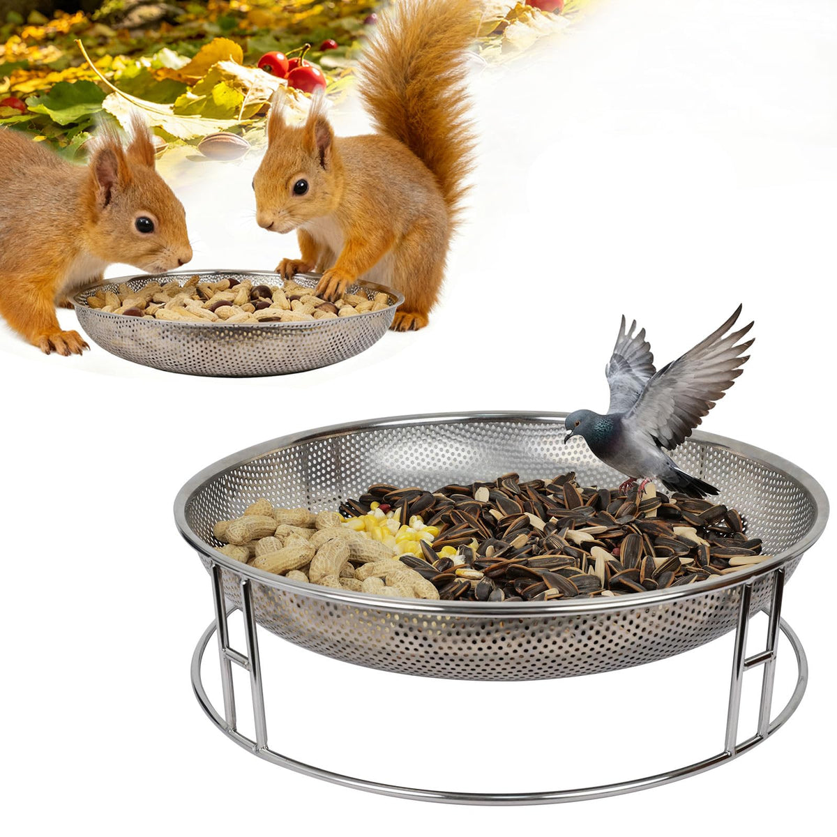 Kweespr ground feeder with stainless steel tray for tidy backyard feeding