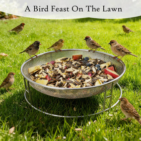 Kweespr multi-use feeder for patios, yards, and courtyards