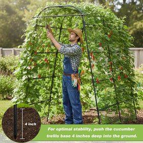 Kweetle 7ft garden arch trellis assembled demonstrates quick setup for raised beds