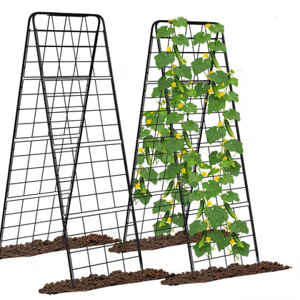 Kweetle A-Frame cucumber trellis with adjustable height supports early seedlings.