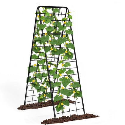Kweetle A-Frame cucumber trellis assembled, sturdy support for climbing plants.