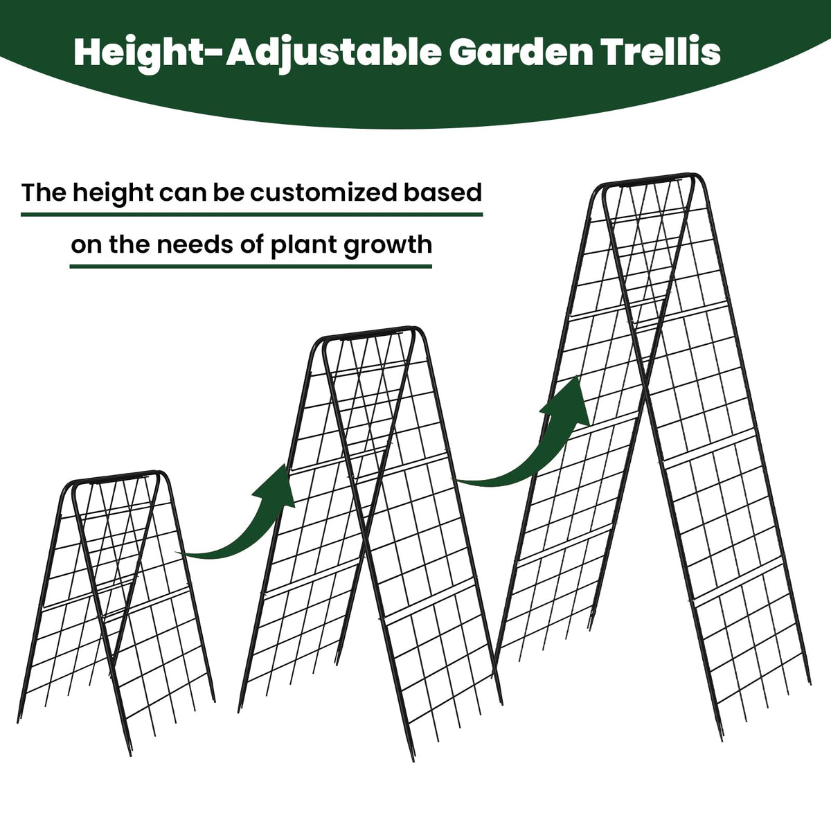 Kweetle A-Frame trellis with heavy-grid, supports heavy yields.