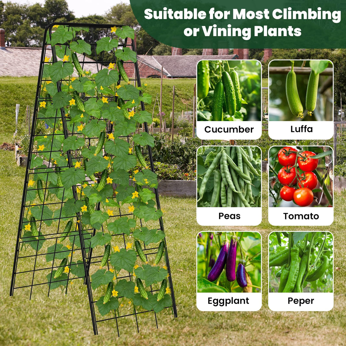 Kweetle A-Frame ideal for raised beds and containers.