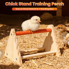 Kweetle all-in-one kit fits coops, brooders, and outdoor setups for versatile poultry care