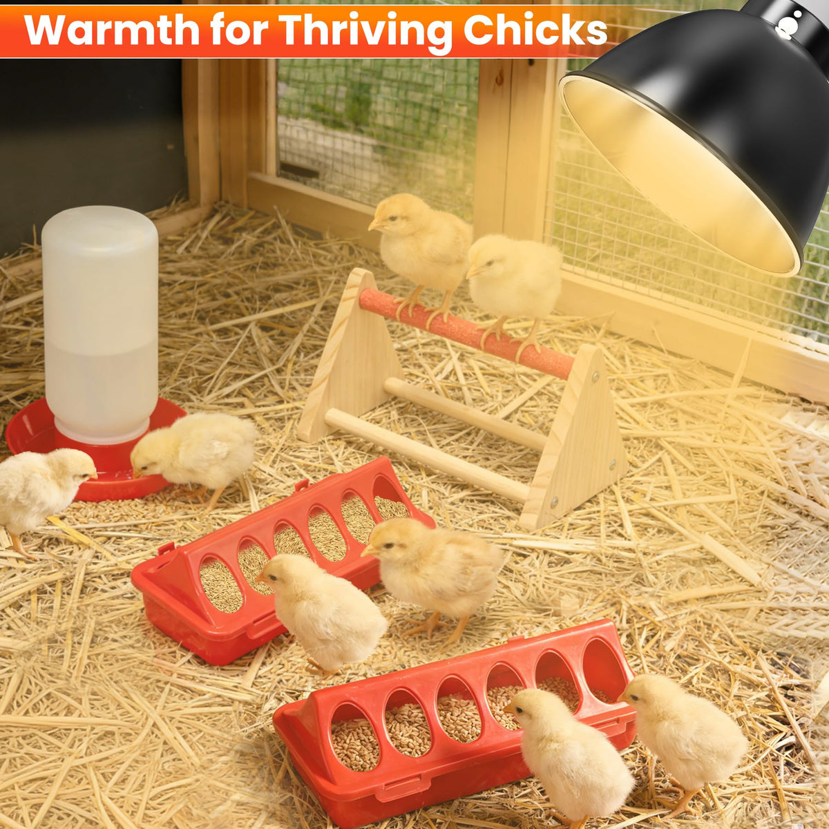 Kweetle brooder set includes spare bulbs for extended use during growth stages