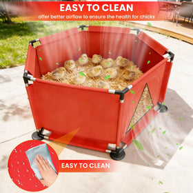 Kweetle chick feeder, waterer, and perch in a compact, ready-to-use setup