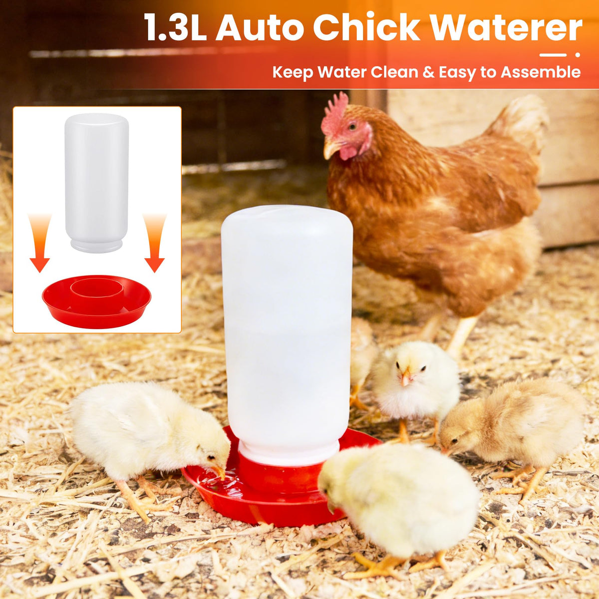 Kweetle natural wooden chick perch offers stable resting surface and supports leg health