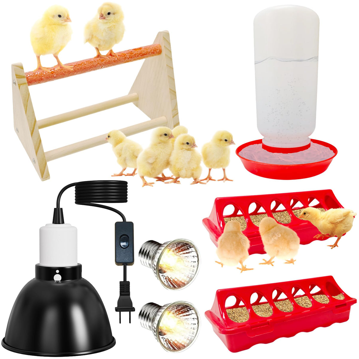 Kweetle Chick Starter Kit overview with all-in-one brooder essentials for new poultry keepers