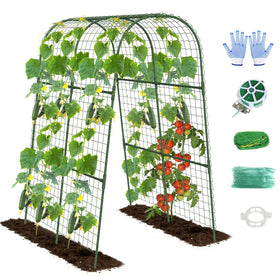 Kweetle cucumber trellis supports climbing vegetables in raised beds for better yields.