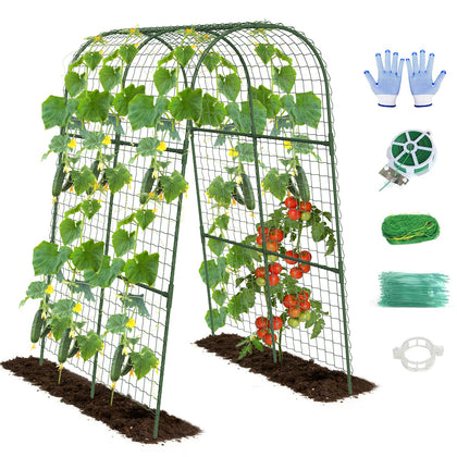 Kweetle cucumber trellis supports climbing vegetables in raised beds for better yields.