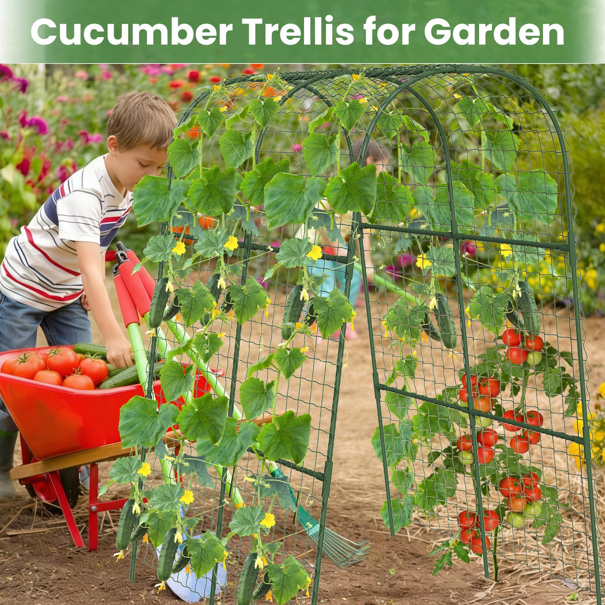 Kweetle metal garden arch trellis elevates vines while improving sunlight exposure.