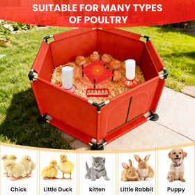 Kweetle open-air brooder during use emphasizing airflow and chick comfort