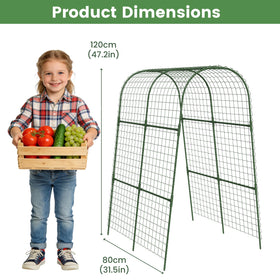 Kweetle raised-bed plant support fits backyard gardens and greenhouses.