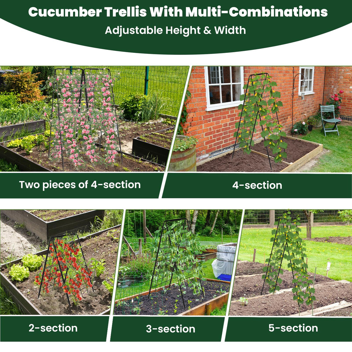 Kweetle garden trellis ideal for tomatoes, peas, and grapes.