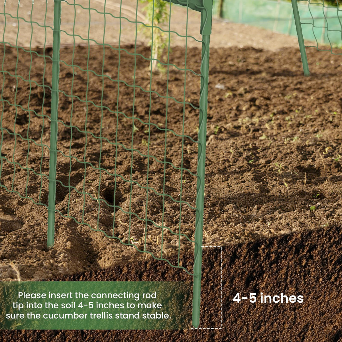 Kweetle trellis netting guides vines for even canopy and airflow.