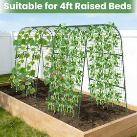 Kweetle twist ties and garden clips help secure vines without damage.