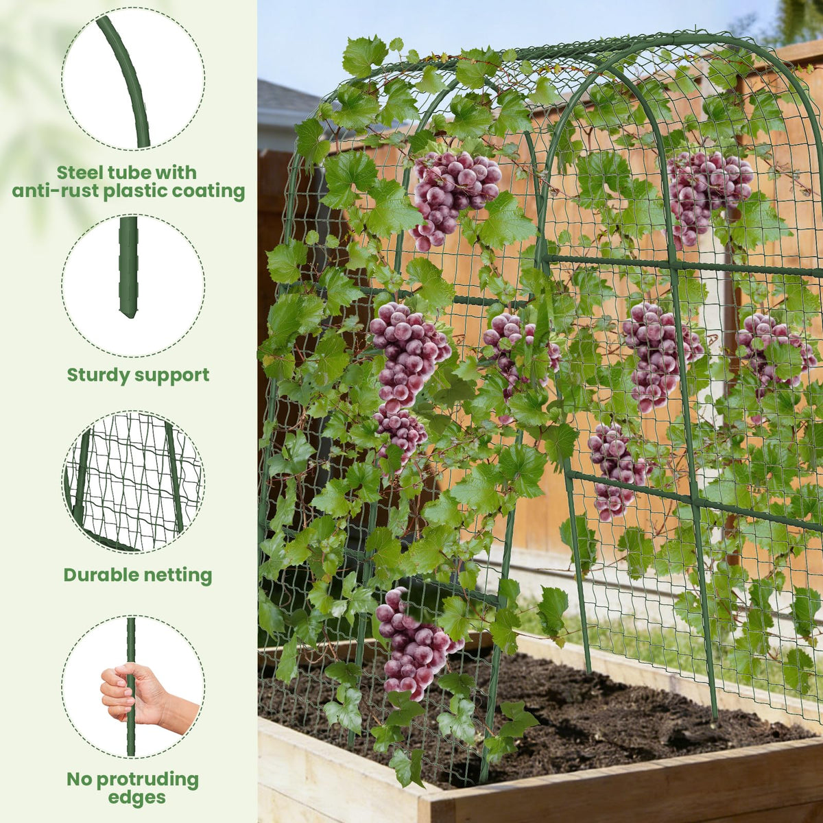 Kweetle U-shape plant support keeps stems organized and upright as plants grow.