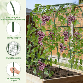 Kweetle U-shape plant support keeps stems organized and upright as plants grow.