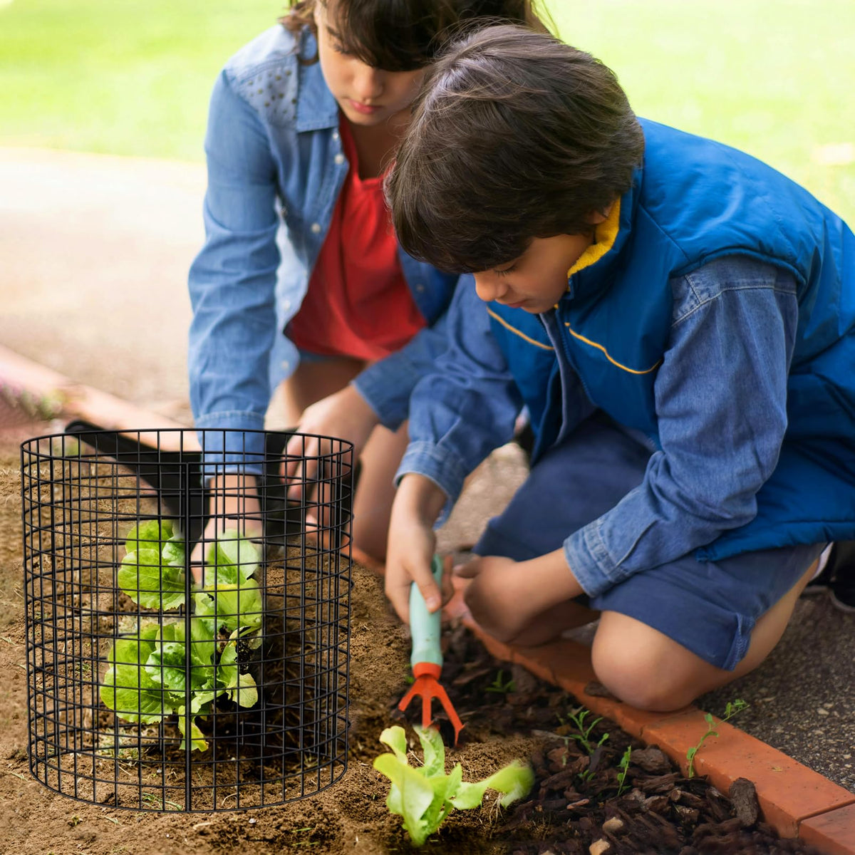 Six-pack cage kit with zip ties enables versatile garden use