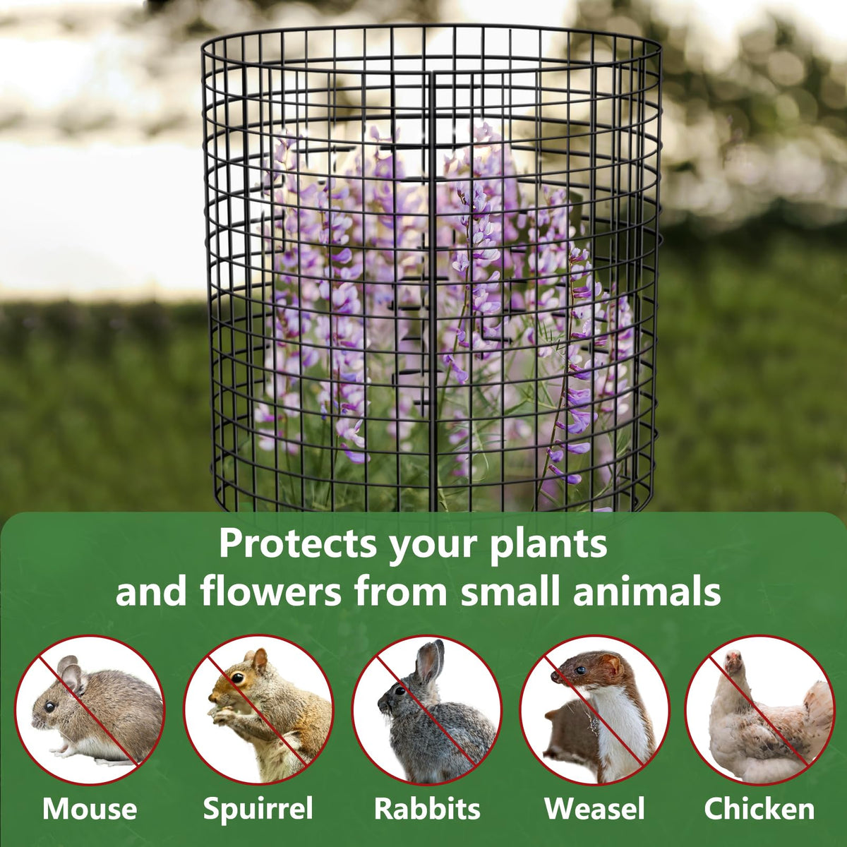 Garden setup with stakes demonstrates secure, stable plant protection